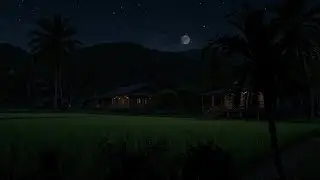 Nighttime Cricket Ambience ASMR | Relaxing Nature Sounds to Sleep, Study, or Meditate 🌙🎧