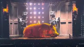 Bloody Mary /  蔡依林 ／Jolin蔡依林Pleasure世界巡迴演唱會 ／￼ 台北大巨蛋