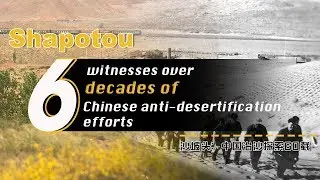 Shapotou witnesses over six decades of Chinese anti-desertification efforts