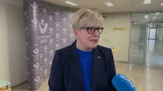 Šimonytė apie Gražulio, Vėgėlės ir Jankūno susitikimą su Coale: apgailėtina