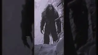 I think This Is A Yeti #ai #midjourney #runwaygen2 #beast #creepy #monster #yeti