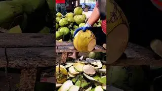 Super Cutting Golden Coconut ASMR #cuttingart #coconut #coconutwater #cuttingskills #fruit #asmr