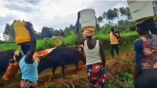Village life in Kenya(Africa)// Life of women in  African countryside