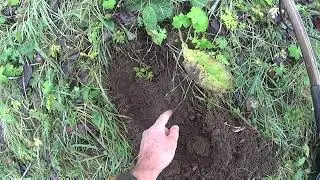 Détection de loisir& nature . stadetoulousaing@stadetoulousaing