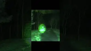 Confronted possible murderer while in the creepy forest using crazy app! #shorts