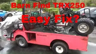 Barn Find Honda TRX250, Bought for Parts, Left to Rust, Will It Run?