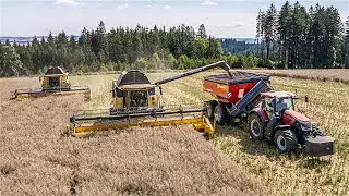 💛2x New Holland CX8.80🖤 & ❤️Case Optum 270 + Perard X-Flow 34❤️| Žně řepky 2024 |@harvestbrothers972