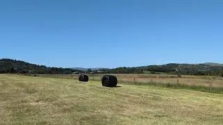 Short walk in the Ribble Valley, Lancashire. Uk Heatwave 2025