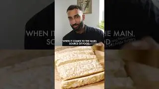My Top 10 Plantbased Protein Foods | Tempeh  #tempeh #veganprotein #buildmuscle