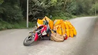 From Hopeless To Saved — You Won’T Believe This Rescuethis Scene Stopped Everyone#help #adventure