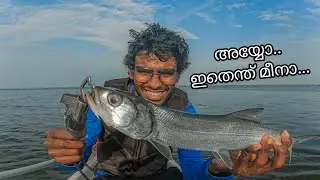 കായലിലെ കൊമ്പന്മാരെ പിടിച്ച് കൂട്ടിയപ്പോൾ.. 😳😱 | Mangrove jack | fishing videos 2025