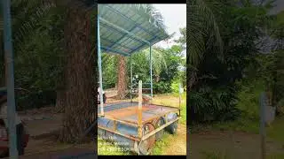 alhamdulillah siap job repair bot house dan pelegaq kolam..