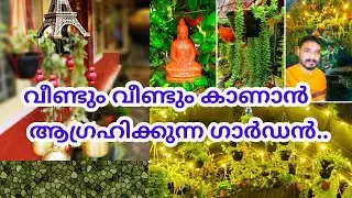 Garden Tour🌵🌿/Garden ideas/Garden setting ideas/How to set Beautiful garden/Salu koshy