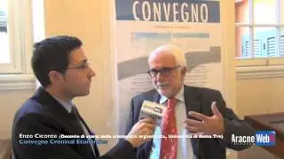 Intervista a Enzo Ciconte, docente di Storia della Criminalit&agrave; Organizzata.