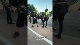kotolga policja