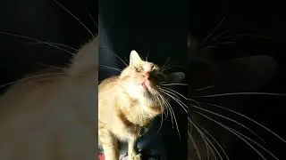 Dulu waktu masih ada ibu..