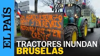 BRUSELAS | Tractores y huevos: así protestan los agricultores frente al Parlamento Europeo | EL PAÍS
