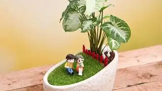 Miniature Garden - DIY Feel Relaxed Miniature Garden | nurserylive