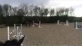 ☘️Sold to Alice Bibby Eventing four months ago as a 4 year old...☘️