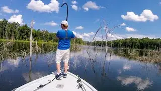 Summer Bass Fishing - Deep Water Flipping and Spinnerbait