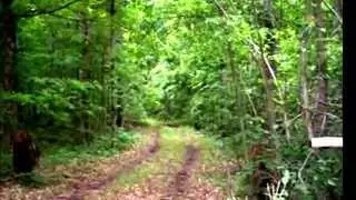 16 acres Turkey Creek Bottom Lane, Hawk Point, MO 63349 | Tammie Johnson | 636-262-6085 | Hawk Point