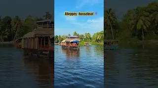 Alleppey Houseboat | Kerala Backwaters 2024 #travel #alappuzha #houseboat