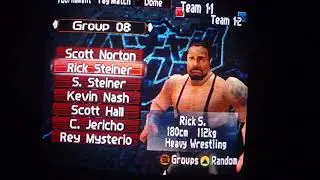 VPW2 Freem Edition Tag tournament