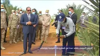 باركود لكل نخلة.. الرئيس السيسي يشهد مشروع الربط الإلكتروني للمحاصيل الزراعية بتوشكى