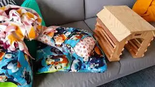 Chatty cage cleaning -Dutch guinea pigs-