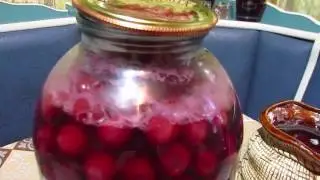 Что  делать если забродил вишневый компот. Вино из вишен