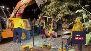 Large Animal Rescue Of Butter The Pony In Lake Elsinore, CA. (Short Version)