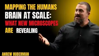 New Microscopes Are Finally Revealing How the Human Brain Really Works