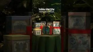 Новогодняя коллекция &laquo;Тайны красоты&raquo;
