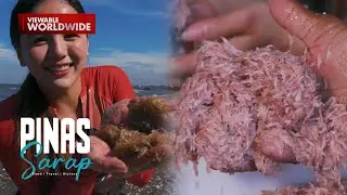 Jenzel Angeles, napasabak sa paggawa ng bagoong alamang sa Cavite | Pinas Sarap
