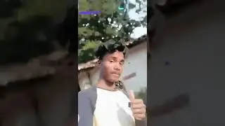 Kuko kuko Ko  Ko status video