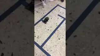PIA de robotica con robot KartBot