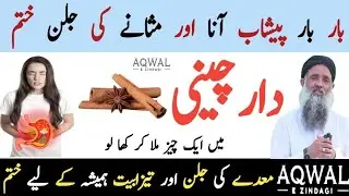Rumi Quotes Urdu | Hikmat Ki Batain | Motivational Quotes About Life Urdu | Sunharay Haroof | Totkay