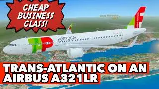 TAP Air Portugal JFK to Lisbon Flight Review | Cheapest Business Class to Europe