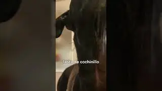 Latita de cochinillo de Segovia, &ntilde;ammmm