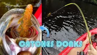 Why is the Googan Bandito Bug So Popular?? (Massachusetts Summer Bass Fishing) #shorts