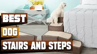 Best Dog Stairs and Step In 2025 - Top 10 Dog Stairs and Steps Review