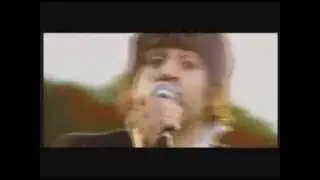 TIMID TIGER -  Combat Songs & Traffic Fights (Official Video)