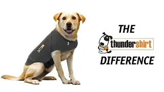 The ThunderShirt Difference