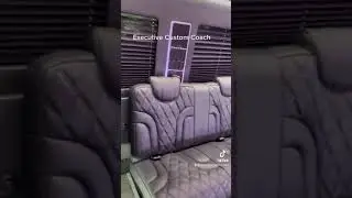 Luxury Limousine Style Sprinter Conversion!!
