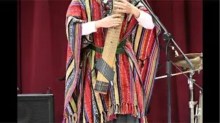 この楽器を見てくれ。どう思う？