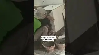 pasang granit dinding meja dapur  #tutorial #shortvideo #fypシ