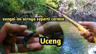 AIRNYA BENING!! MANCING UCENG DAN WADER DI SUNGAI SLEMAN || Micro Fishing