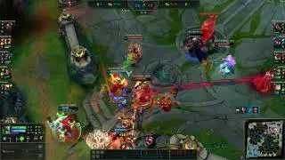 Gripex COMBO