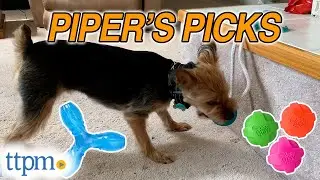 Puppy Piper Reviews Her Favorite Dog Toys!