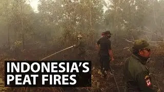 Indonesia&rsquo;s Peat Fires | Get Real | CNA Insider